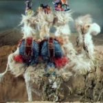 Зачем верблюду апельсин мультфильм (1986) кукольная сказка о Зебре, Коне и Ленивце